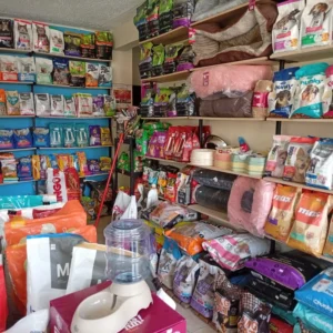 WhatsApp Image 2026-03-12 at 2.36.45 PM (1)